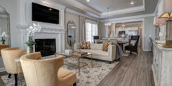 Photograph of a luxurious living room space
