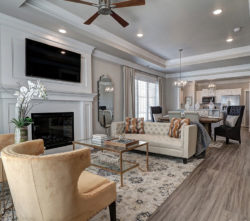 Photograph of a luxurious living room space