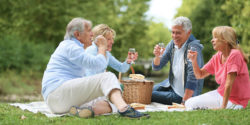 Photograph of two happy couples picnicking and holding up full wine glasses