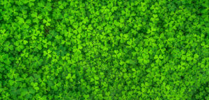 Make St. Patrick's Day T-shirt