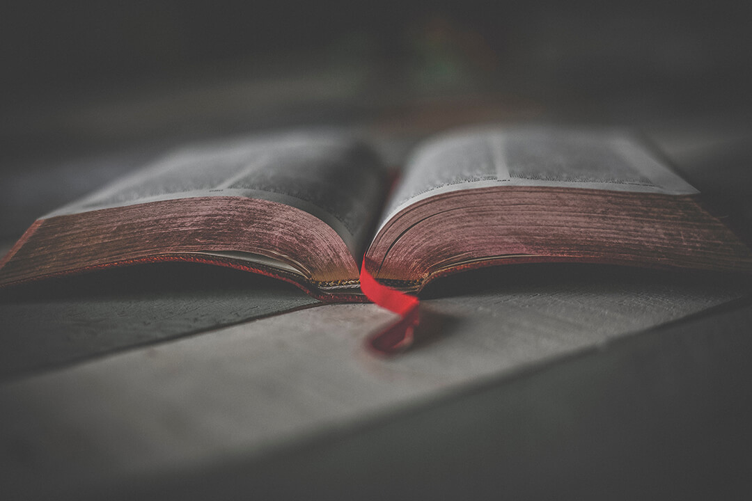 Let's Talk Bible